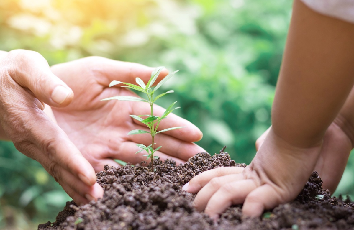 A mother and child planting a young tree